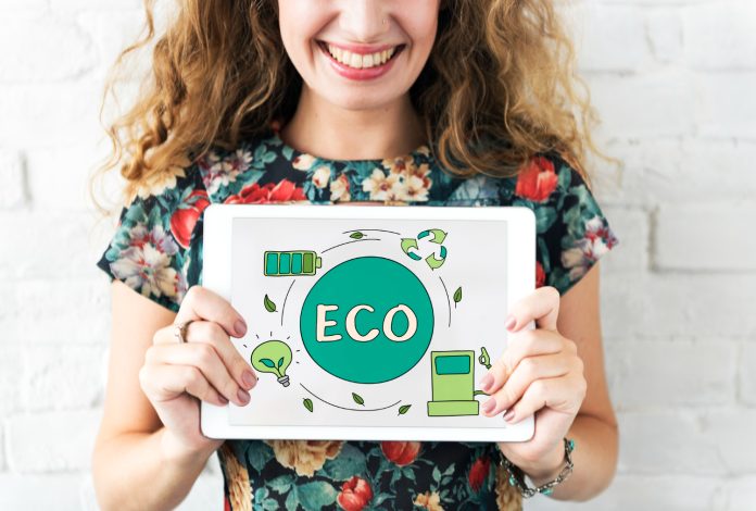 audit-rse-ecologie audit rse ecologie